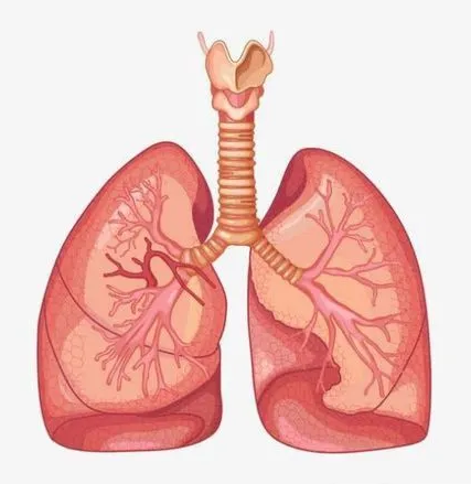 重庆中医肺癌专家:为什么肺癌发病率这么高,又该如何预防